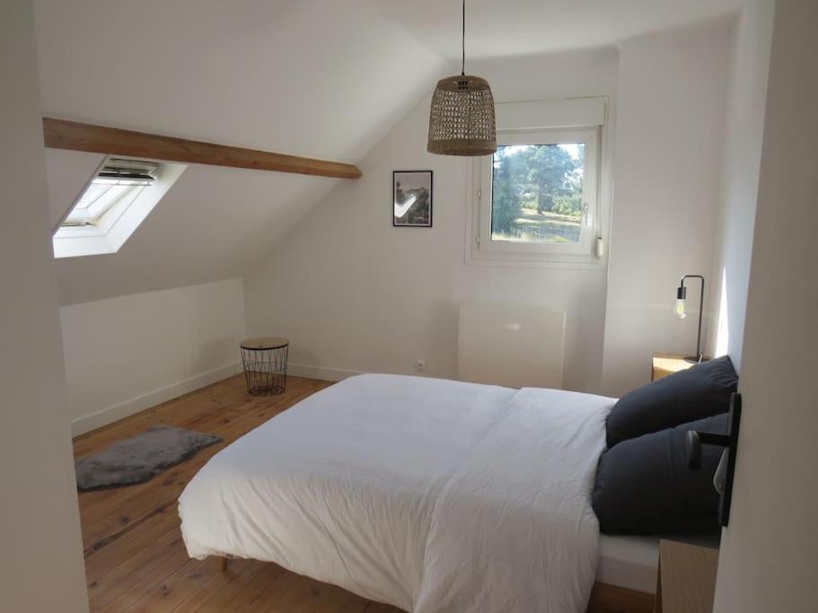 Maison - Plage A Pied Fréhel Extérieur photo